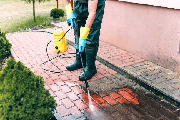 Best Fence Cleaning  in Anthony, NM